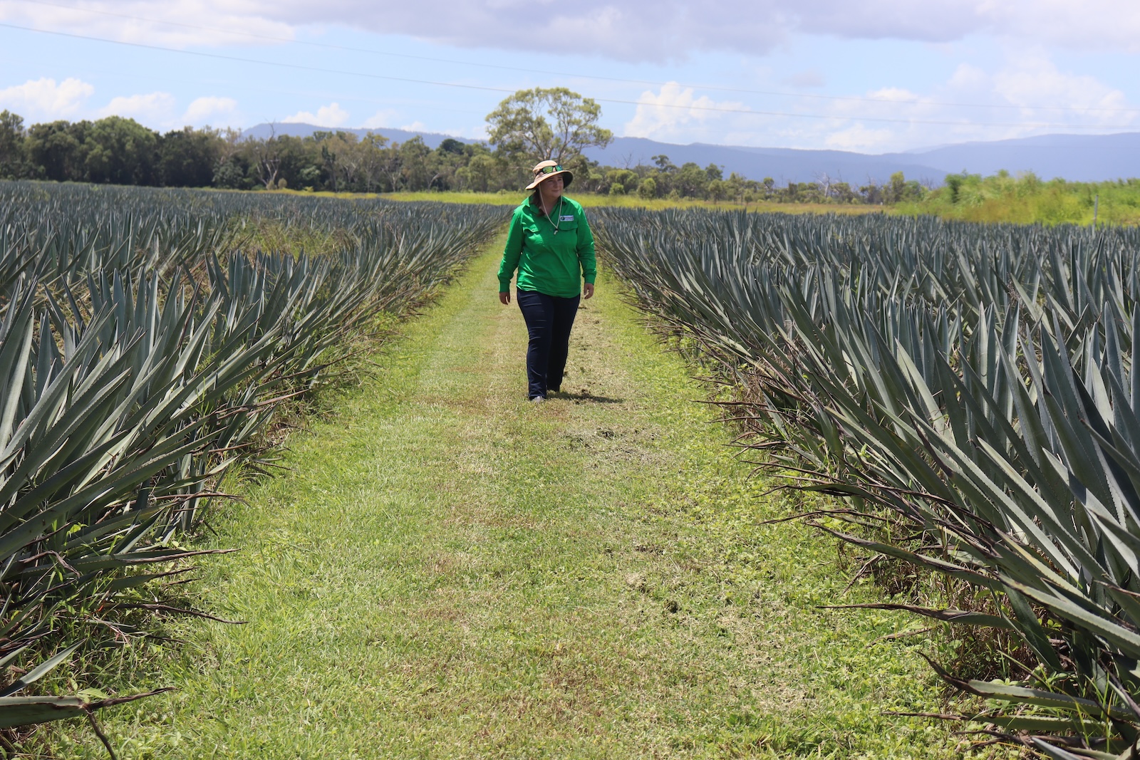 Agtech takes centre stage with two regional initiatives to drive change.